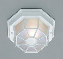 Trans Globe 40581 WH - 1LT FLUSH-SPIDER-SML-OUTD-FROS